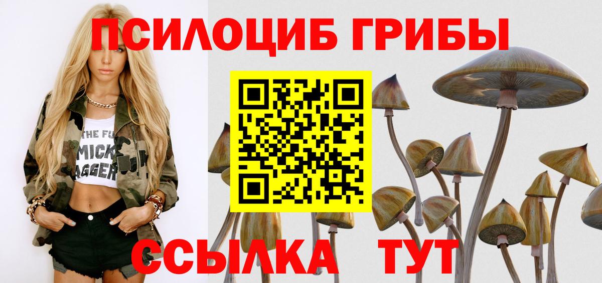 Псилоцибиновые грибы Cubensis Кулебаки